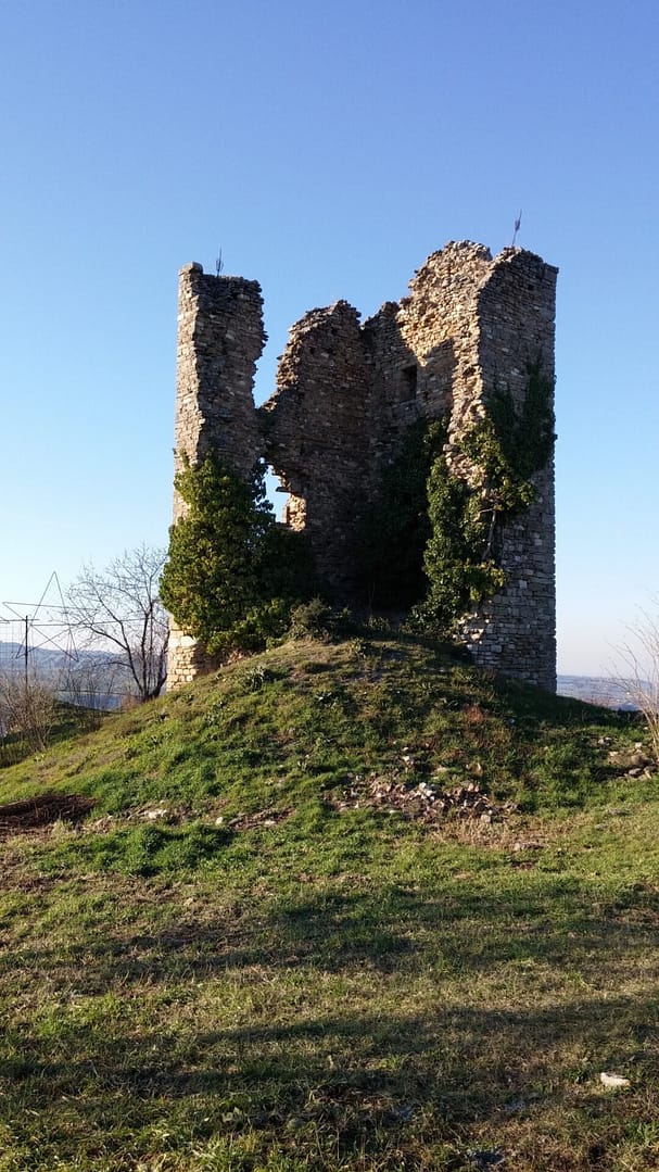 teodorano castelnuovo